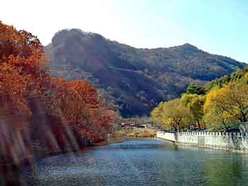 正版澳门天天开彩大全，快餐桌价格